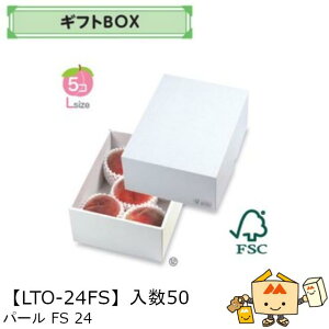 ylszt[c MtgBOX p[FS24 iLTO-24FS P[X̔ 50 TCY200×260×110mm  }jpbP[W }j  _{[ S ь  IW  Ԃǂ }XJb