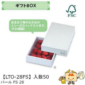 ylszt[c MtgBOX p[FS28 iLTO-28FS P[X̔ 50 TCY205×290×60mm  }jpbP[W }j  _{[ S ь  IW  Ԃǂ }XJbg