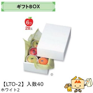 ylszt[c MtgBOX zCg2 iLTO-2 P[X̔ 40 TCY210×300×110mm  }jpbP[W }j  _{[ t[clߍ킹  ь  IW 