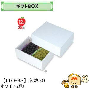 ylszt[c MtgBOX zCg2[ iLTO-38 P[X̔ 30 TCY300×210×125mm  }jpbP[W }j  _{[ t[clߍ킹  ь  I