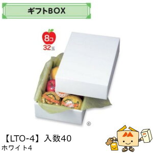 ylszt[c MtgBOX zCg4 iLTO-4 P[X̔ 40 TCY250×350×110mm  }jpbP[W }j  _{[ t[clߍ킹  ь  IW 