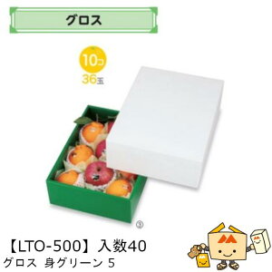 【個人宅不可】フルーツ ギフトBOX グロス 身グリーン 5 品番LTO-500 ケース販売 入数40 サイズ270×370×120mm 送料無料 ヤマニパッケージ ヤマニ 紙 ダンボール フルーツ詰め合わせ マンゴー りん