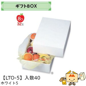 ylszt[c MtgBOX zCg5 iLTO-5 P[X̔ 40 TCY270×370×120mm  }jpbP[W }j  _{[ t[clߍ킹  ь  IW 