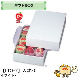 ylszt[c MtgBOX zCg7 iLTO-7 P[X̔ 30 TCY310×420×120mm  }jpbP[W }j  _{[ t[clߍ킹  ь  IW 