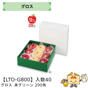ylszt[c MtgBOX OX gO[ 290p iLTO-G800 P[X̔ 40 TCY290×290×110mm  }jpbP[W }j  _{[ t[clߍ킹 }S[ 