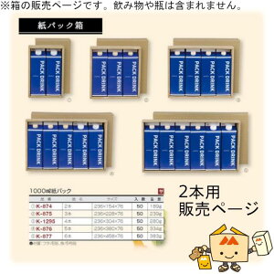 W[X 1000mLpbN 2{p iK-874 P[X̔ 50 TCY236×154×76mm  }jpbP[W }j  蕨 v[g {bNX 1L Г02000701