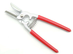 { Ñ򐻍쏊 N[o[ Mi JAN@4931617100011@Ȃ񊄊@Ǌ@Ȃ񊄂