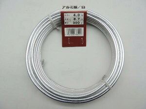 A~@A~j@ 4A0~@300O@8C7[^[ JAN 4931999736242j nKl ݂ A~Z