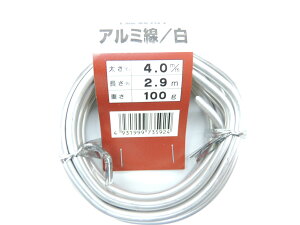 A~@A~j@ 4A0~@100O@2C9[^[ JAN 4931999735924 j nKl ݂ A~Z