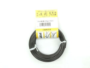 A~ A~j  1C5~ 100g 20M@JAN 4573306170952 j nKl ͂肪 A~C[