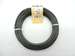 A~@A~j@uY 1.5~@300O@62[^[JAN4931999736303j nKl ݂ A~Z