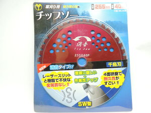 R@@p`bv\[@SW^i^Cvj@255×40P@p@JAN 4953462171916