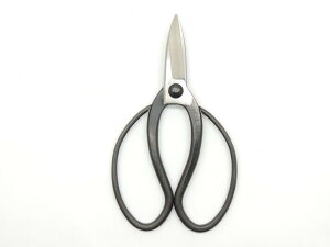 b菕@v@180~@JAN 4573306185512 K[fjO@~ |K[fjO