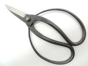 {@܂ ORn vv 180~@zOY JAN 4573306181026 ` K[fjO@~ |K[fjO