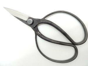 {@܂ @ORn vv 200~@zOY JAN 4573306181033 ` K[fjO@~ |K[fjO