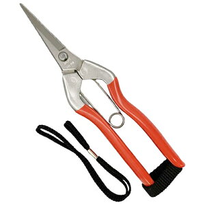 { zH XeX E 185mm S-1SXgbvt JAN 4991579072016 ѐЉʎE؉p͂