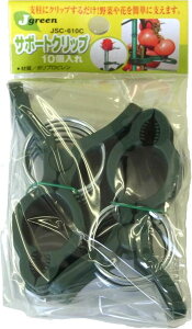 WXe JgreenT|[gNbv 10 JSC-610C JAN 4542584450513 | x