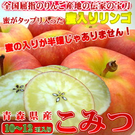 楽天市場 高徳 りんごの通販
