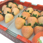 奈良県産　白い苺　淡雪　18〜30粒入り　2013年に品種登録された白いイチゴ　佐賀ほのか が突然変異して生まれた苺の新品種　味わいは さがほのか にそっくり バレンタイン　ホワイトデー　チョコ以外　ギフト　出荷予定：12月上旬〜