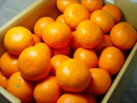 愛媛県又は三重県産 カラマンダリン 2．5kg　　柑橘好きにはタマラナイ美味しさ！甘さはもちろん適度な酸味は柑橘の醍醐味を堪能できる春柑橘の逸品！