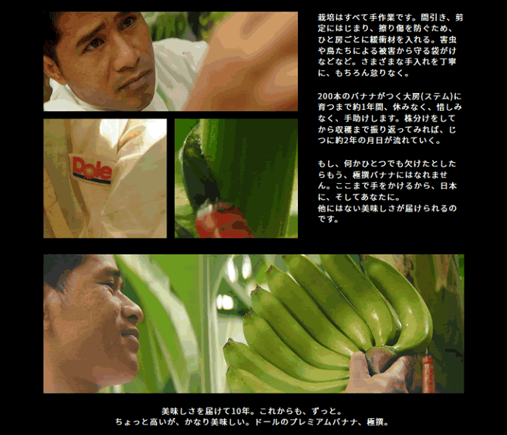 楽天市場】ドール極撰バナナ : 南国フルーツ 楽天市場店