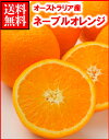 オーストラリア産ネーブルオレンジ特大40玉