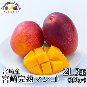 �{��Y ���n�}���S�[�i�������� �a���� �v���[���g ��̓��@���̓� ��j �䌩�� ���j ��� �������� �{�̉ʕ� �̂��Ή� �M�t�g�j