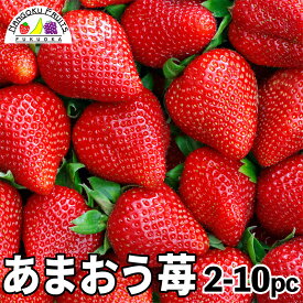 福岡産 あまおう苺 デラックス（送料込 誕生日 プレゼント 御祝 内祝 結婚 御見舞 くだもの 旬の果物 のし対応 ギフト）