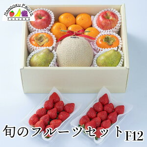 y\̔z{̃t[cZbg F12y ʕlߍ킹 a v[g j j  䌩  {̉ʕ ̂Ή Ε Ε ~Mtgz