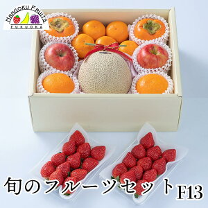 y\̔z{̃t[cZbg F13i ʕlߍ킹 a v[g j j  䌩  {̉ʕ ̂Ή Ε Ε ~Mtgj