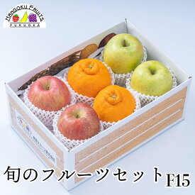 【予約販売】旬のフルーツセット F15【送料込 果物詰め合わせ 誕生日 プレゼント 御祝 内祝 結婚 御見舞 くだもの 旬の果物 のし対応 お歳暮 御歳暮 冬ギフト】