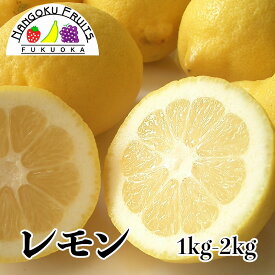 【送料無料】アメリカ/チリ産レモン