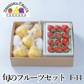 【予約販売】旬のフルーツセット F14【送料込 果物詰め合わせ 誕生日 プレゼント 御祝 内祝 結婚 御見舞 くだもの 旬の果物 のし対応 お歳暮 御歳暮 冬ギフト】