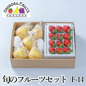 y\̔z{̃t[cZbg F14y ʕlߍ킹 a v[g j j  䌩  {̉ʕ ̂Ή Ε Ε ~Mtgz