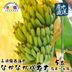 【産地直送】長崎県島原産　なかなかバナナ 5本（段ボール入)