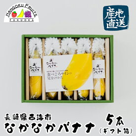 【産地直送】長崎県島原産 なかなかバナナ 5本（ギフト箱入)