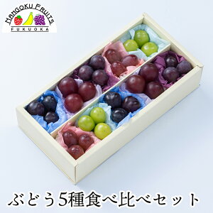 ぶどう5種食べ比べセット