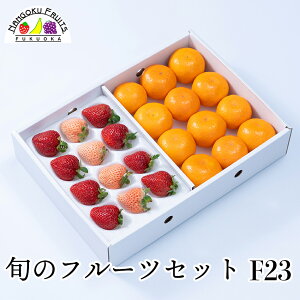 y\̔z{̃t[cZbg F23i ʕlߍ킹 a v[g j j  䌩  {̉ʕ ̂Ή Ε Ε ~Mtgj