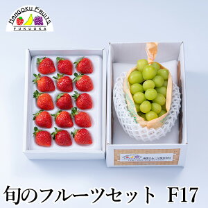 y\̔z{̃t[cZbg F17i ʕlߍ킹 a v[g j j  䌩  {̉ʕ ̂Ή Ε Ε ~Mtgj