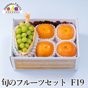 yz {̃t[cZbg F19 ( ʕlߍ킹 a v[g j j  䌩  {̉ʕ ̂Ή Ε Ε ~Mtg)