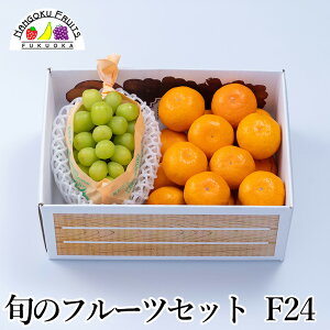 yz {̃t[cZbg F24 ( ʕlߍ킹 a v[g j j  䌩  {̉ʕ ̂Ή Ε Ε ~Mtg)