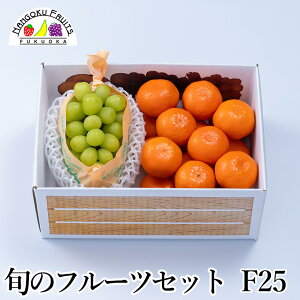 y\̔z {̃t[cZbg F25@( ʕlߍ킹 a v[g j j  䌩  {̉ʕ ̂Ή Ε Ε ~Mtg)