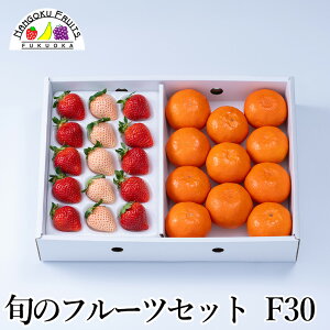 y\̔z {̃t[cZbg F30y ʕlߍ킹 a v[g j j  䌩  {̉ʕ ̂Ή Ε Ε ~Mtgz