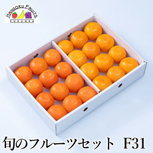 y\̔z{̃t[cZbg F31i ʕlߍ킹 a v[g j j  䌩  {̉ʕ ̂Ή Ε Ε ~Mtgj