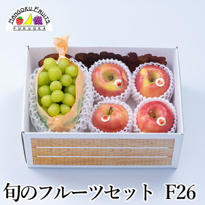 y\̔z {̃t[cZbg F26 i ʕlߍ킹 a v[g j j  䌩  {̉ʕ ̂Ή Ε Ε ~Mtgj