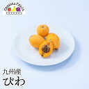 九州産 びわ（送料込み 誕生日 プレゼント 御祝 御見舞 内祝 御礼 くだもの 旬の果物 のし対応 ギフト）