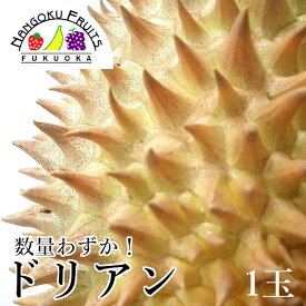 ベトナム産 ドリアン1玉