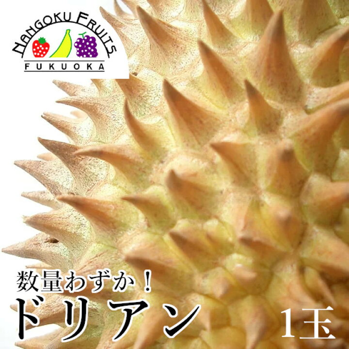 楽天市場】ベトナム産 ドリアン1玉 : 南国フルーツ 楽天市場店