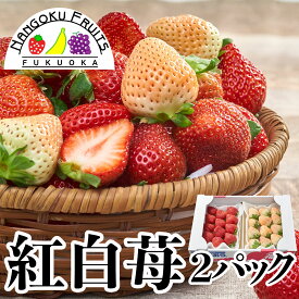 楽天市場 白いちごの通販