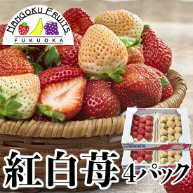 楽天市場 白いちごの通販